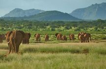 6-Day Private Tour in Samburu, Nakuru and Maasai Mara