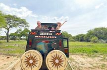 4 Days Lodges Serengeti, Ngorongoro Crater & Visiting Maasai