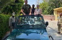 Ranthambore Day Trip from Jaipur with Jeep / Canter Safari