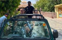 Ranthambore Day Trip from Jaipur with Jeep / Canter Safari