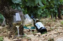 Wine Getaway with Tasting in the Chablis Vineyard