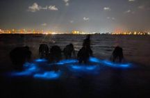  Bioluminescence Kayak Tour Near Orlando