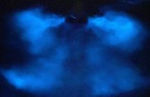  Bioluminescence Kayak Tour Near Orlando