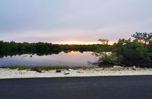 Unforgettable Land Tour on Long Island Bahamas 