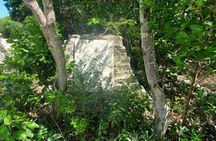 Unforgettable Land Tour on Long Island Bahamas 