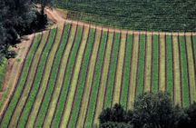 Airplane Napa Valley Flight Tour