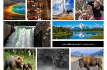Private Two-Day Tour of Yellowstone National Park