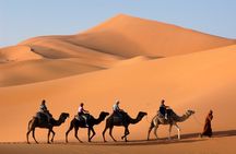 Dubai Morning Desert Safari with Quad Bike sharing Car