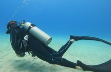 SCUBA Dive at Electric Beach with Photos -No Certification Needed