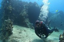 SCUBA Dive at Electric Beach with Photos -No Certification Needed