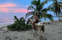 2 Hour Beach Horse Back Riding in Puerto Viejo