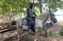 2 Hour Beach Horse Back Riding in Puerto Viejo