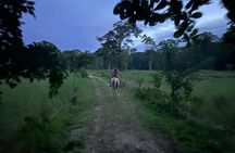 2 Hour Beach Horse Back Riding in Puerto Viejo