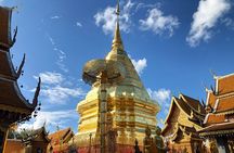 Half day Doi Suthep Temple & Mae Ping River cruise (Private)
