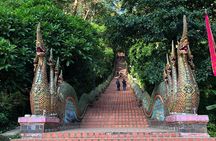 Half day Doi Suthep Temple and city temples (Private tour)