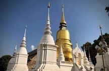 Half Day tour Suan Dok Temple, Umong temple & Doi Suthep Temple