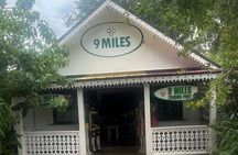 Nine Mile Reggae & History Guided Tour to Bob Marley's Birthplace