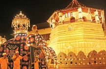 Colombo To Pinnawala & Kandy Luxury Day Tour by Car/Van/Bus