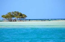 Hamata Island snorkeling Sea Trip with Lunch from Marsa Alam