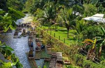 Lethe Bamboo River Rafting Tour - Jamaica's Vibest River 