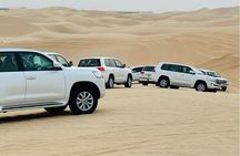 Desert Safari In Dubai With 4x4 Pick & Drop & Live Show