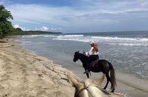 2 Hour Beach Horse Back Riding in Puerto Viejo