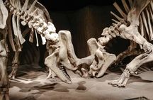 Dinosaurs, Canyons & Ghost Towns: Ultimate Drumheller Day Tour