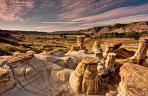 Dinosaurs, Canyons & Ghost Towns: Ultimate Drumheller Day Tour