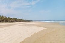 Baby Sea Turtle Releasing Sightseeing Tour with Luis de la Maza