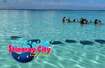 Stingray City and Starfish Experience with Coral Reef Snorkeling