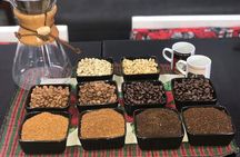 Roatan Rum & Chocolate Tasting, West End Beach & Roatan Sign