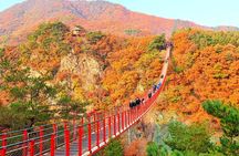 Seoul City Highlights Tour: Hanok Village, Scenic Routes