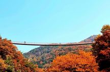 Seoul City Highlights Tour: Hanok Village, Scenic Routes