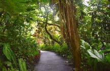 Hilo highlights, waterfalls and beaches, private, costum Tour