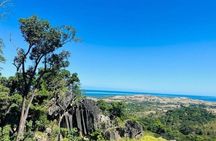 Treetops Zipline Tour with Drop off Transfer to Nadi Airport