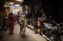 The Ultimate 3 Days in Varanasi - How to Spend 39 Hours - For First Timers