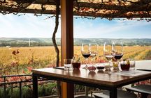Barossa Small Group Wine Tours with Wine Tasting and Lunch