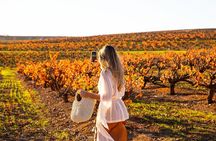 Barossa Small Group Wine Tours with Wine Tasting and Lunch