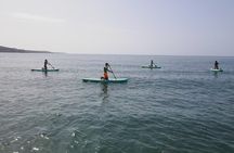 2 Hour Stand Up Paddle Lesson in Gran Canaria