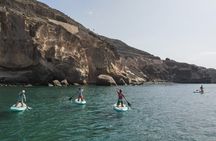 2 Hour Stand Up Paddle Lesson in Gran Canaria