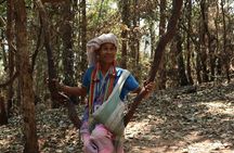 Private Tour Doi Inthanon And Trekking Nature Trail, Chiang Mai