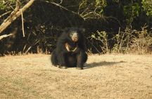 Full day Safari - Yala National Park - 04.30 am to 06.00 pm with - Janaka safari