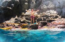 Snorkeling with a Professional Instructor in Tenerife