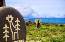  5-Day Mid-Range Safari in Tanzania