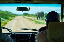  5-Day Mid-Range Safari in Tanzania