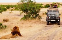  5-Day Mid-Range Safari in Tanzania