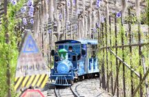 Alpaca World, Nami Island with optional Railbike Tour from Seoul