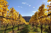 Private Tour & Lunch Of Underground Winery & Countryside Estate