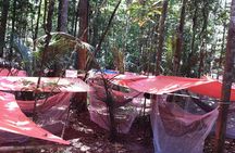 Dinner and Overnight in the Jungle in Manaus