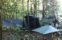 Dinner and Overnight in the Jungle in Manaus